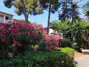 Cigalou sous les pins